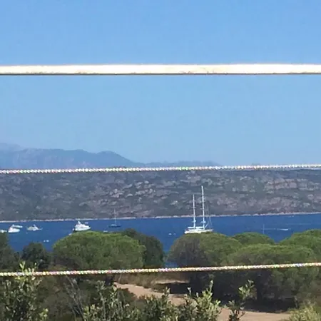 Pure Mare Bonifacio